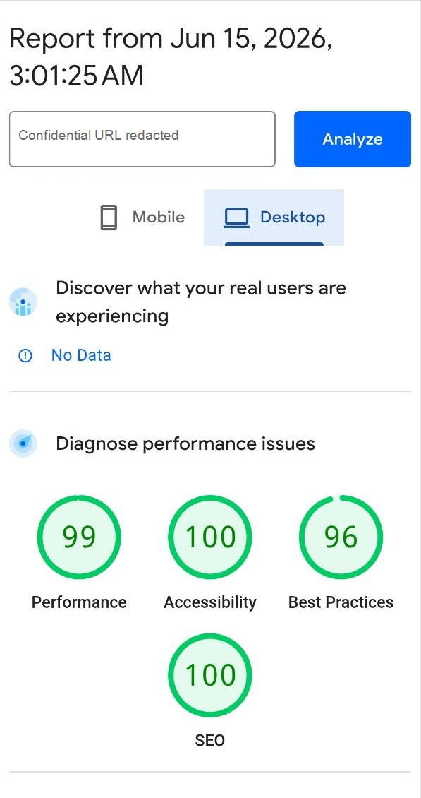 Anonymized PageSpeed Insights desktop report showing Performance 99 out of 100