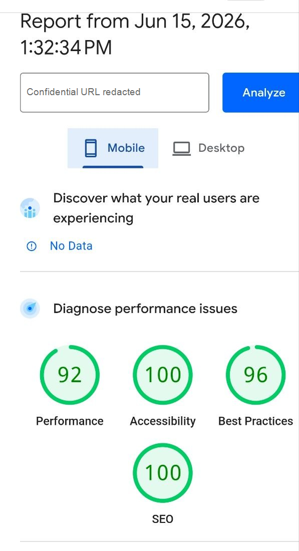 Anonymized PageSpeed Insights mobile report showing Performance 92 out of 100